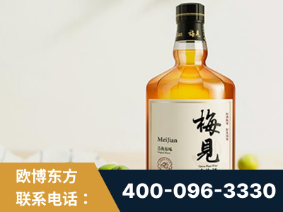 腾冲-梅见青梅酒